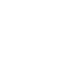 Introlic Logo
